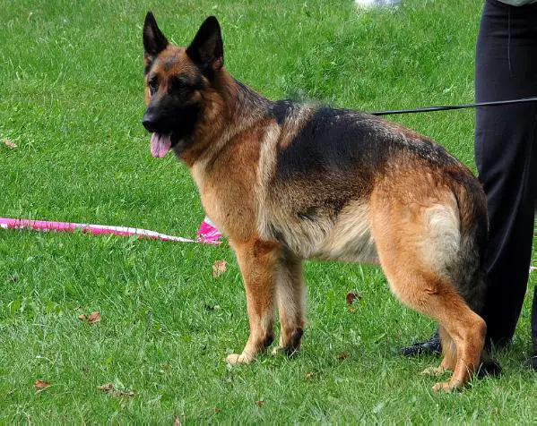 BALT&INT&RUS CH Arneta Tonberg