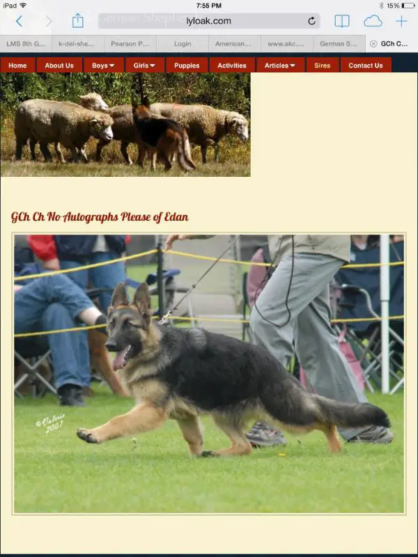 GCH (US) No Autographs Please of Edan