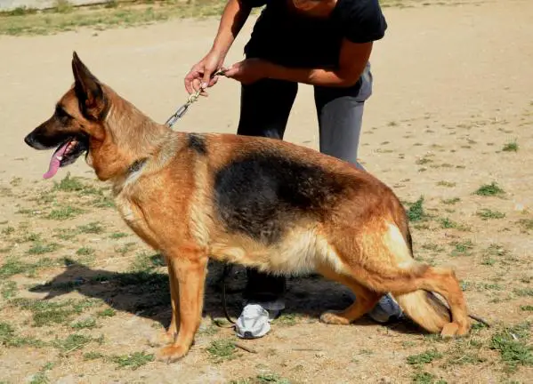 Patrisiya S Chjornogo Morja