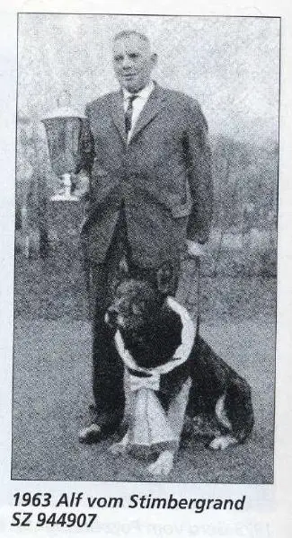 BSP Sieger 1963 Alf vom Stimbergrand