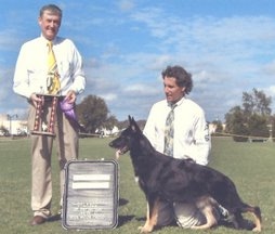 CH Jerrwen's Southern Sky