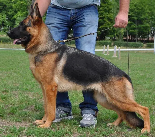 Sada Sofievskaya Zemlya