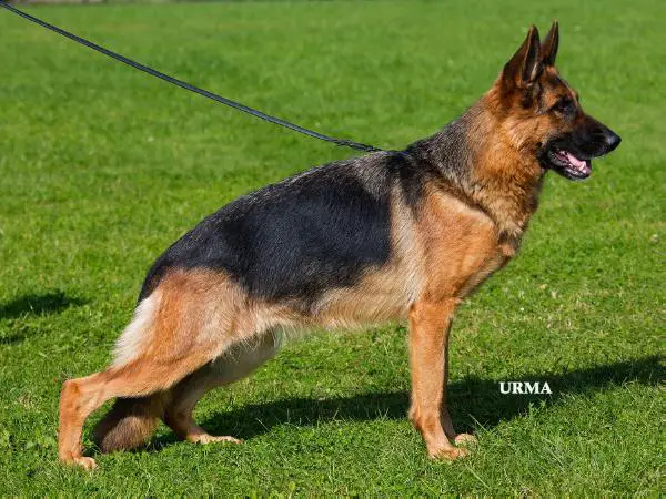 V Petra von den Oher Tannen