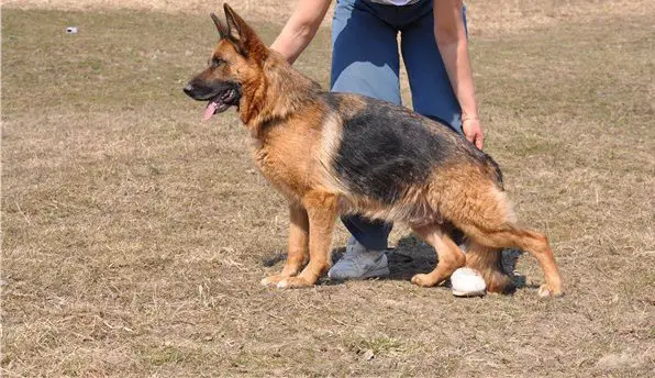 Zilber Wasserfall Yasmin