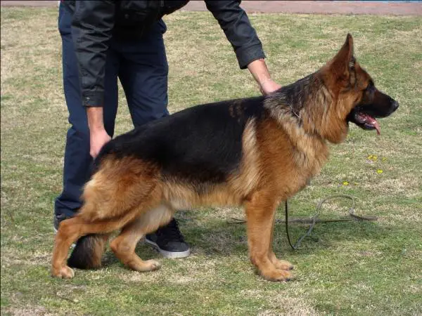 VA (ARG) Spencer von Tronje