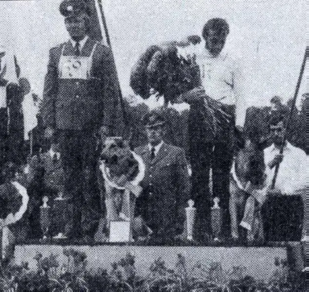 BSP Sieger 1975 Cerry vom Dürener Land