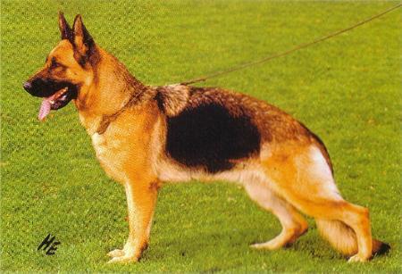 Tapsy vom Farbenspiel