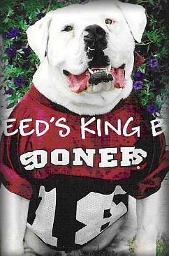 Reed's King Bo of Sooners Kennel