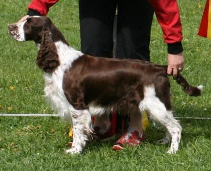 Goldmoore's Angie Reynolds