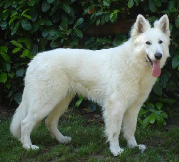 Baby Doll du Domaine de la Combe Noire