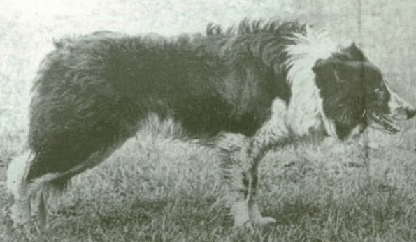 Glen ISDS 3940 (J. M. Wilson)