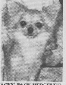 Hack's Pack Herself's Lil Elf