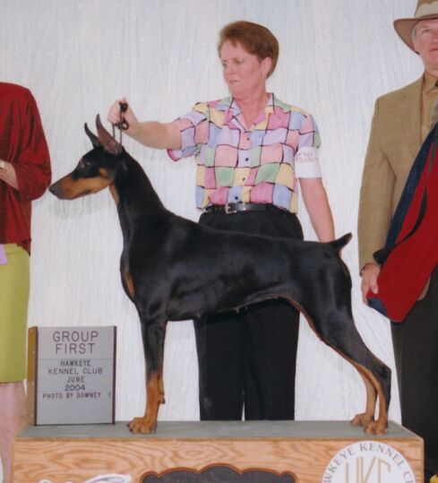 CH Sunburg's Hotrod Holli