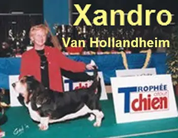 Xandro van hollandheim