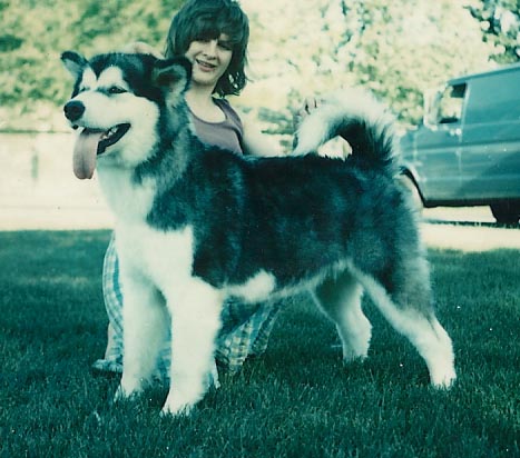 Sugarbear's Bubi Bear