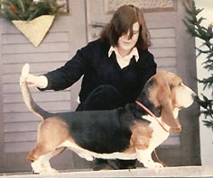 Akerwood Oliver Twist