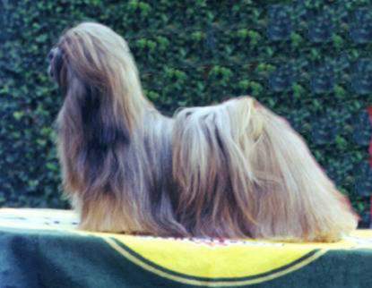 Greta Garbo of Excalibur Quest