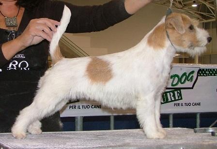 La Vie En Rose a Sutri