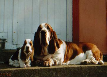 Longbody's Halloween Hero