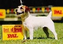 Carisbrooke Casablanca