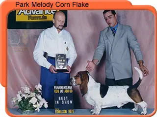 Park Melody Corn Flake