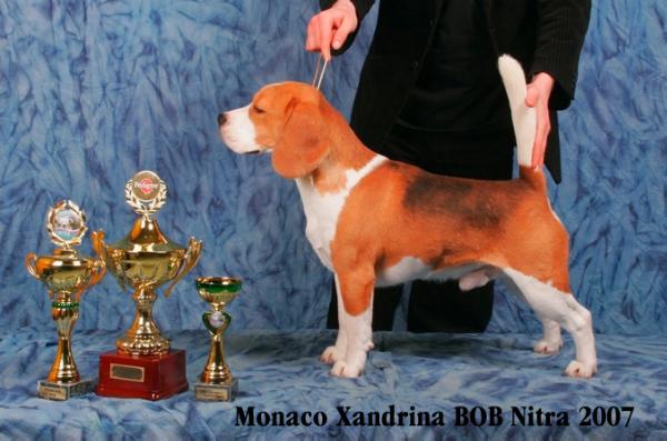 JWW 06 INT CH Monaco Xandrina