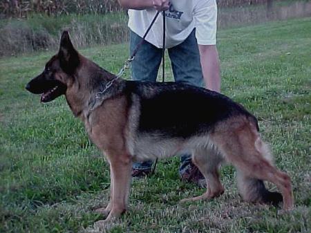 V Feli von der hohen Erle