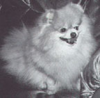 Mack's Rambling Gypsy