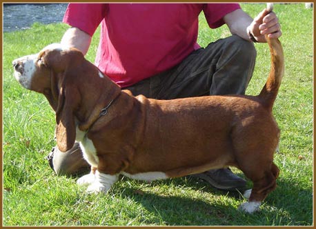 venice du lac sacre d'amon