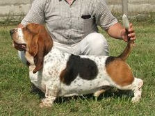 Don carlos is my destiny