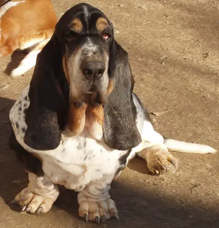 Even The Night 'dei Due Briganti'