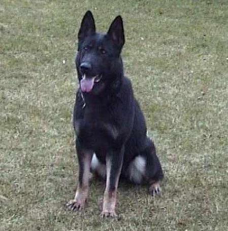 Yana von der Kalenborner Höhe