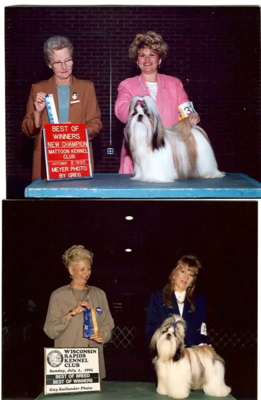 CH (AKC) Miramar's Genetic Fantasy