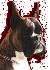 Ambassador degli Scrovegni