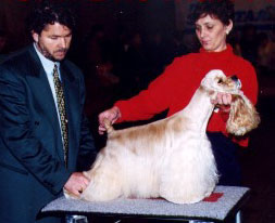 INT-RUS-BY-BALT CH Plane With My Hard