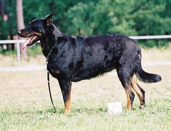 Rania de la Noe du Jardin