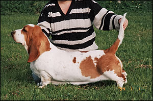 Switherland Blue Venture