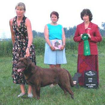 AKC/CAN CH Boothgate Chief Producer