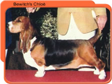 Bewitch's Chloe
