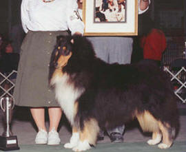 CH Twin Acres Deliverance