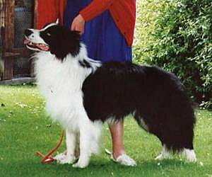 Clan-Abby Lorna's Brae