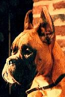 valerie de la verdiere