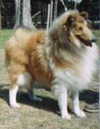 Emperor's gold of oakhill