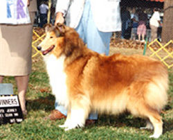 Eaton's Tartanside Colleen
