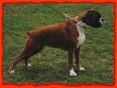 donja vom eisbachtal