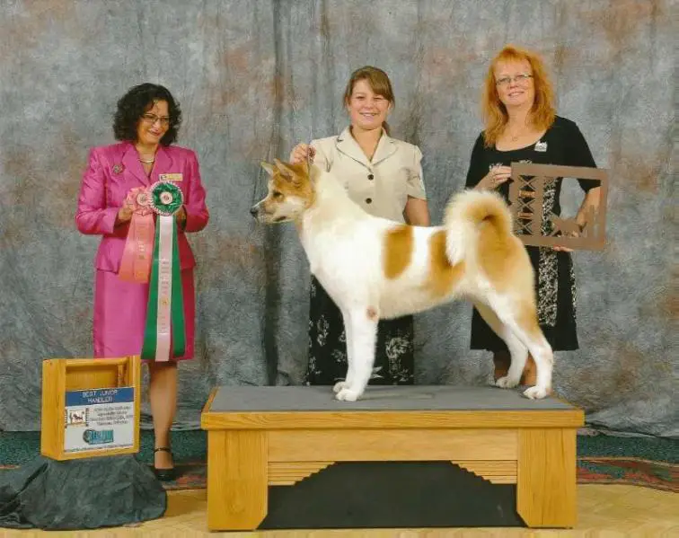 AKC GCH Libertys Zest For Life