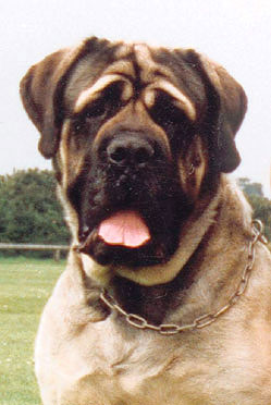 CH Augusta