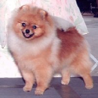 Horizon's Wishful Thinking