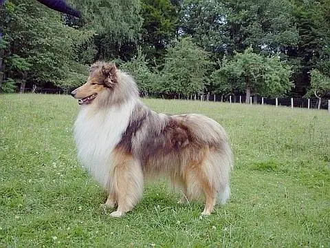 Wellington von crottorf