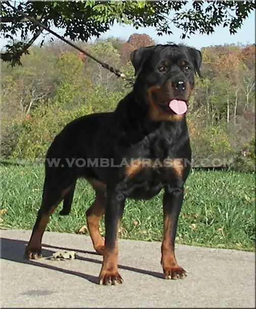 Jiny von Hause Sommer